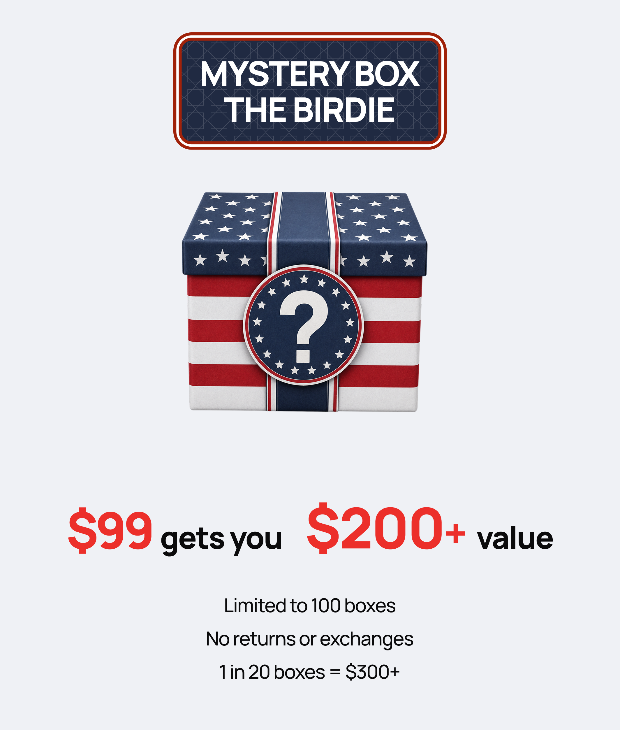 The USA 250 Mystery Box
