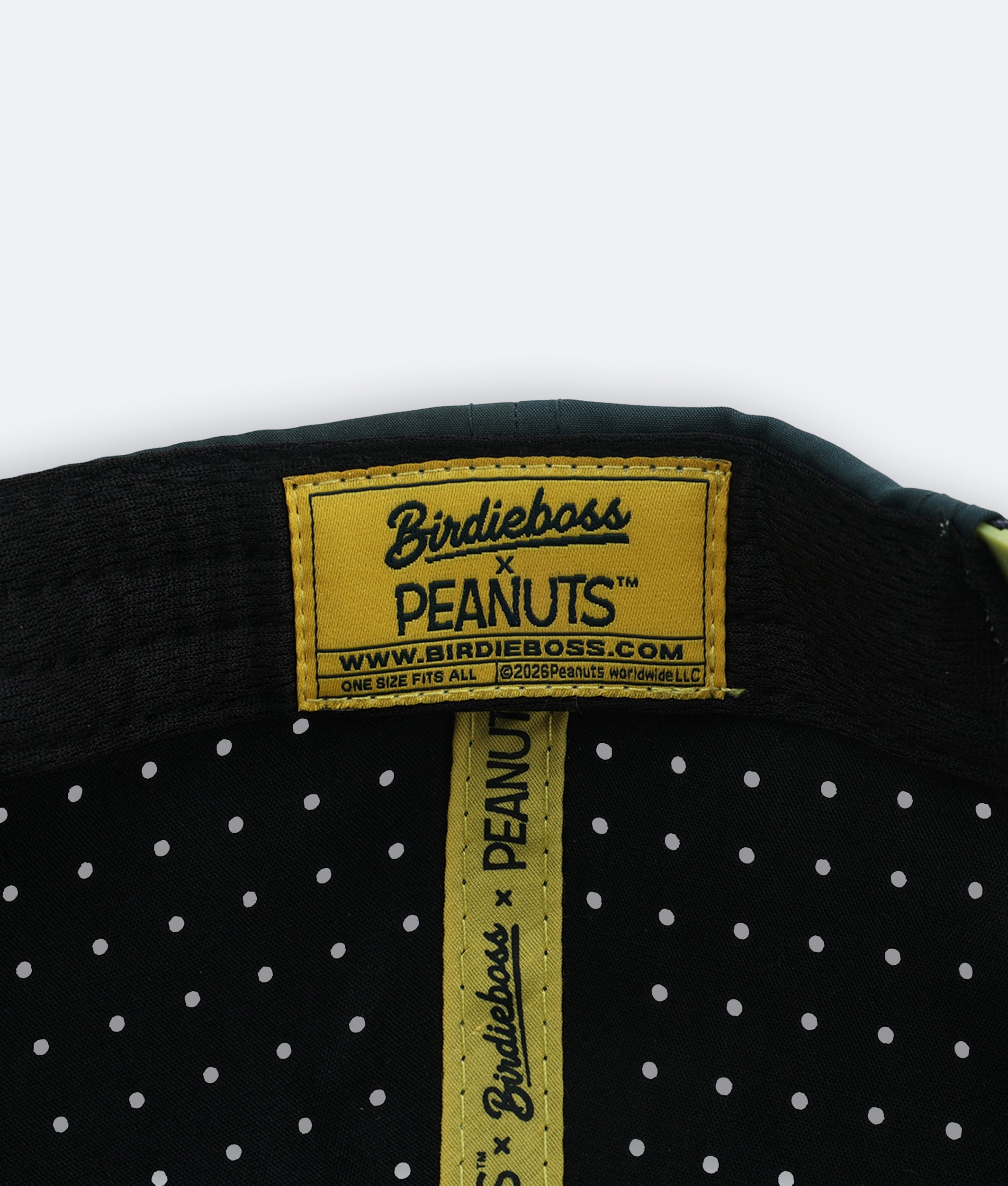Peanuts Snoopy Golf Academy Script Hat