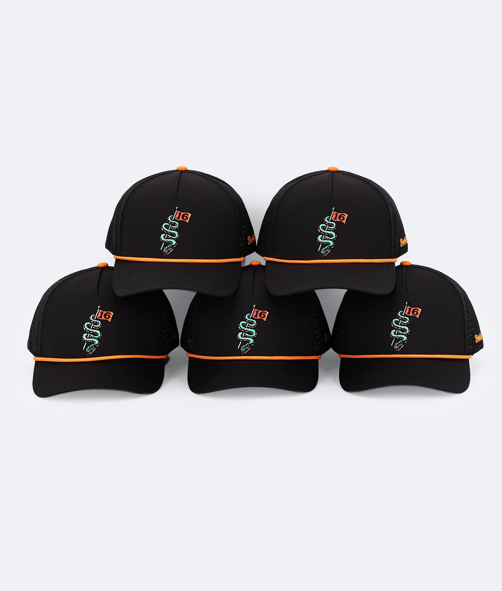 Serpent on 16 Hat Black