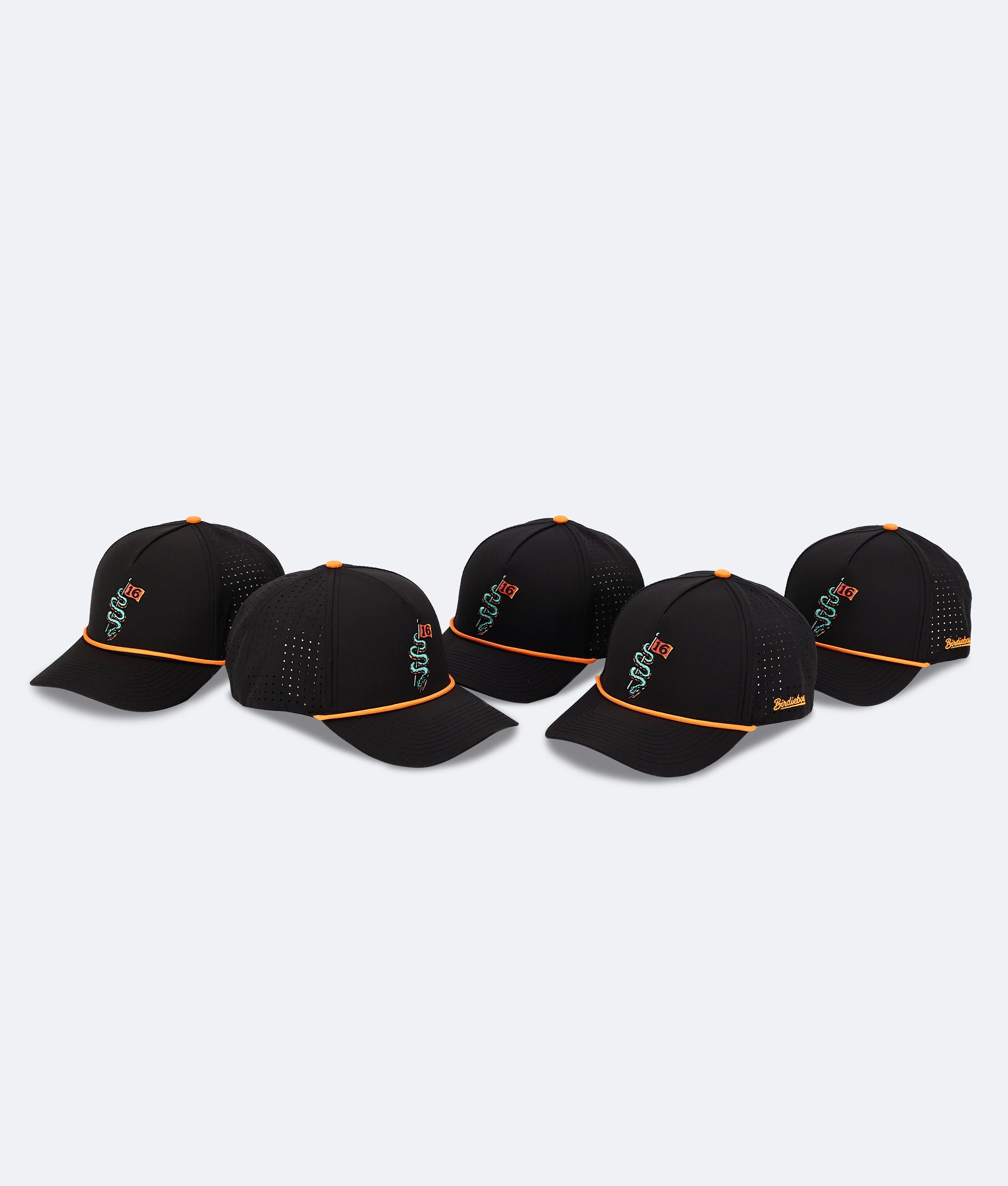 Serpent on 16 Hat Black
