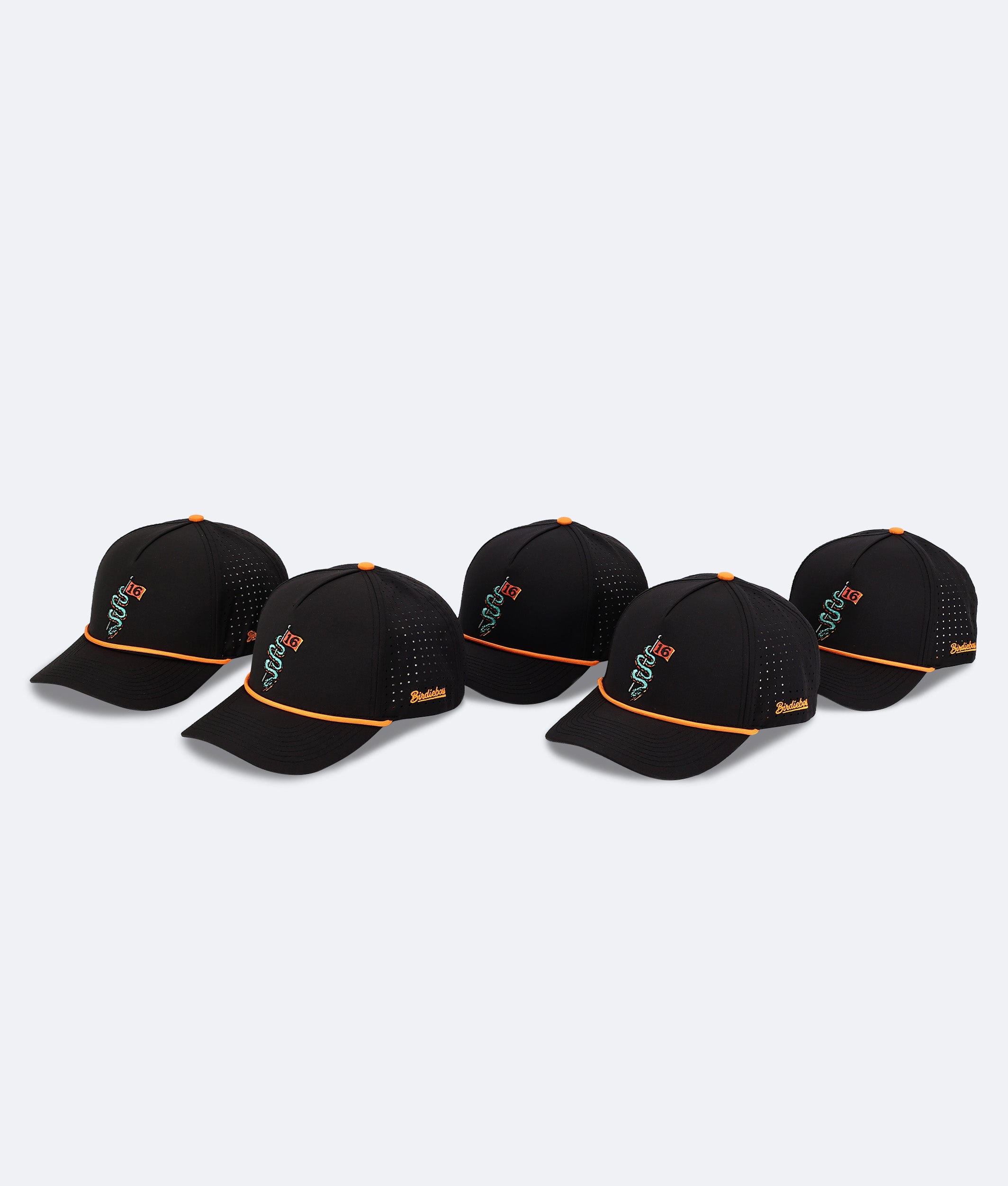 Serpent on 16 Hat Black
