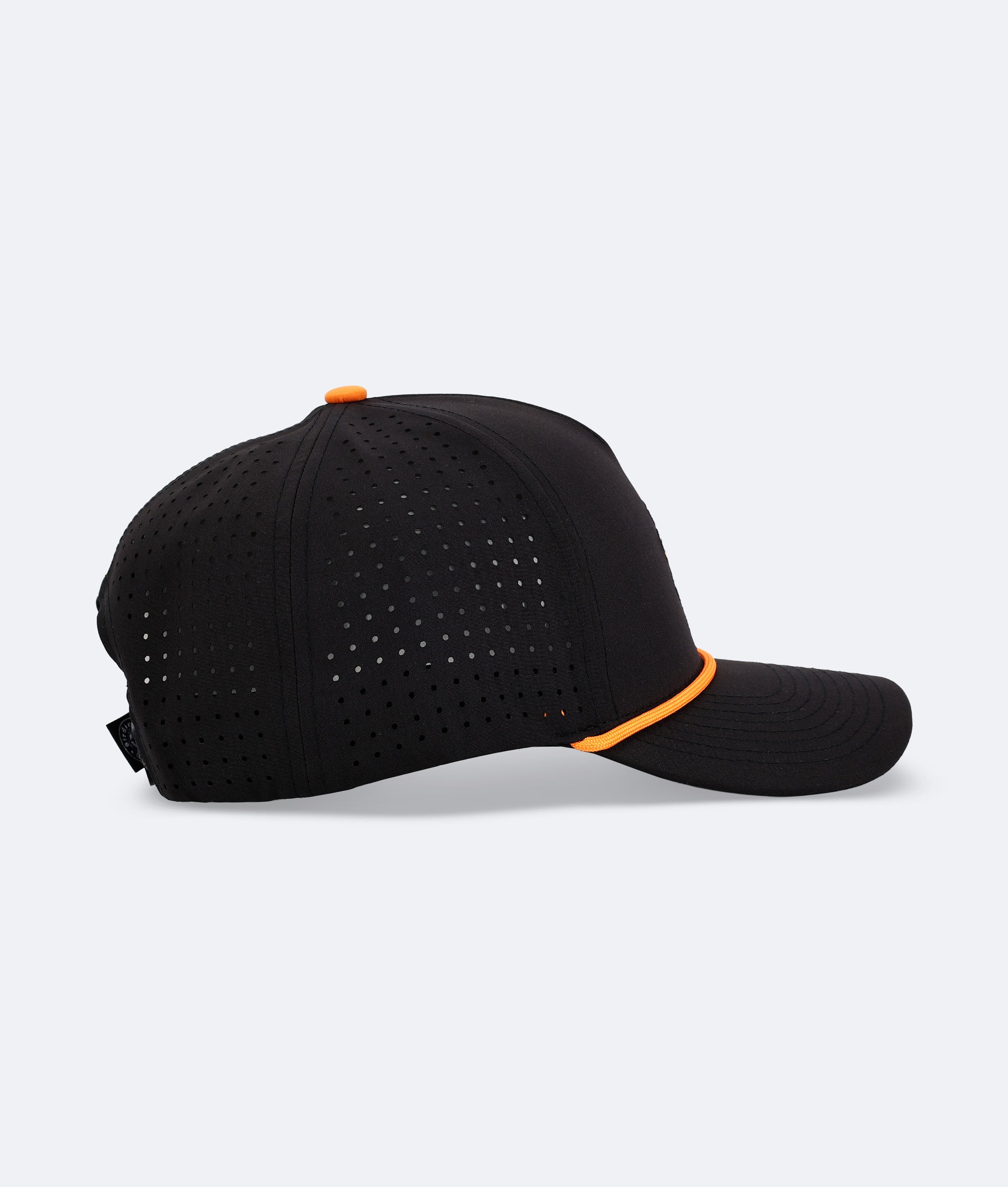 Serpent on 16 Hat Black