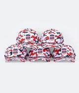 Team USA Hat