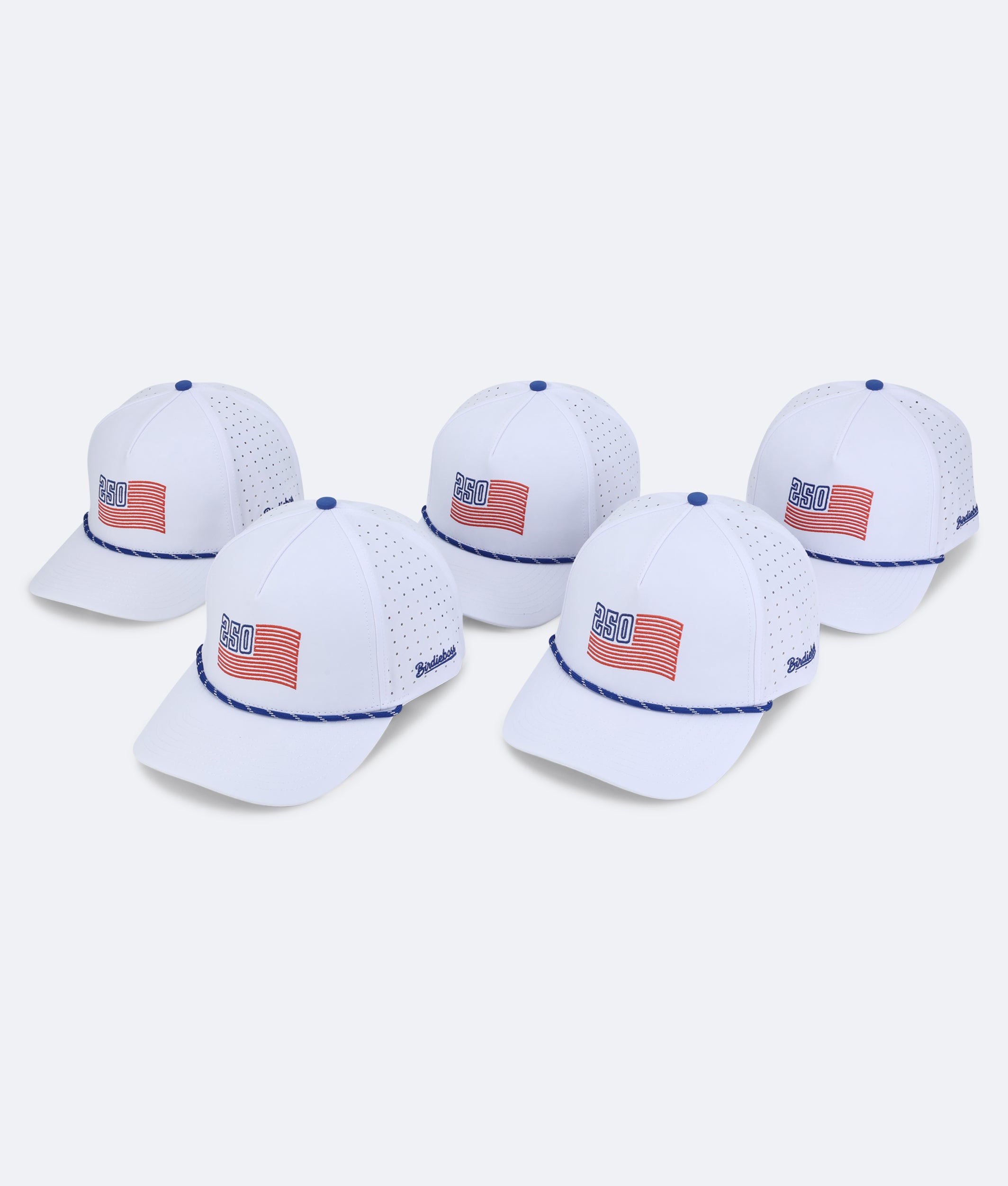 USA 250 Hat