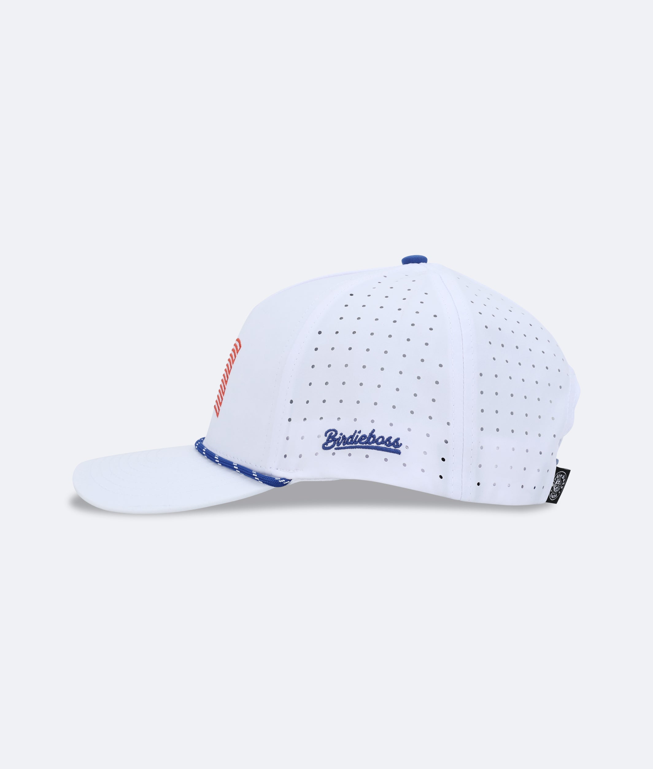USA 250 Hat